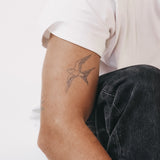 Rondine in volo - tratto sottile