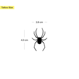 Ragno parte superiore