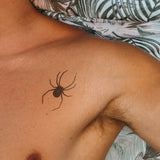 Ragno parte superiore