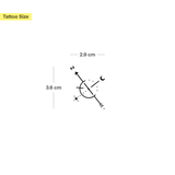 Ghiacciai e bussola - Confezione doppia