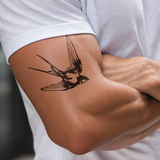 Rondine in volo classica