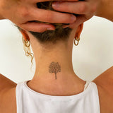 Albero con chioma folta