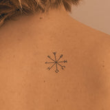 Vegvisir (Bussola runica)