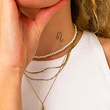 Segno zodiacale Leone