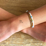 Segno zodiacale Scorpione