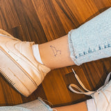 Costellazione del Leone