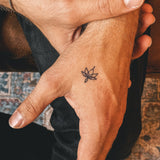 Fiore di loto semplice
