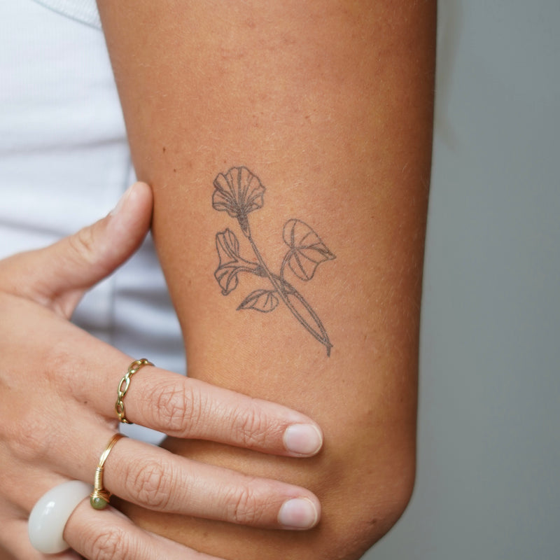 Fiore di nascita di settembre, convolvolo, tatuaggio