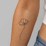 Fiore di papavero