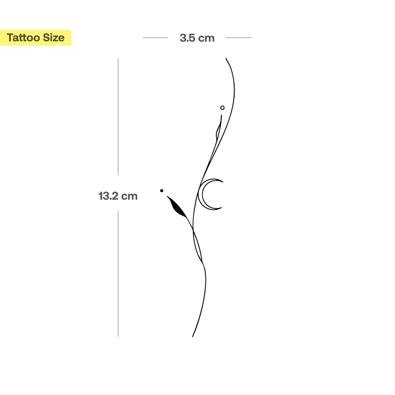 Tatuaggio pianta filigranata con luna
