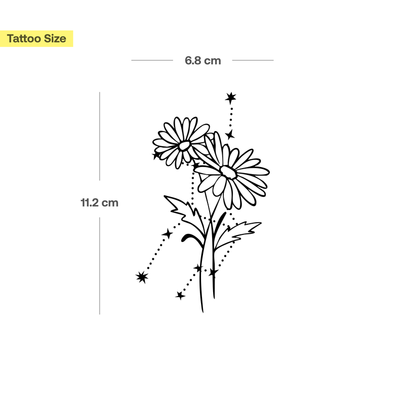 Combinazione fiori di nascita e segno zodiacale