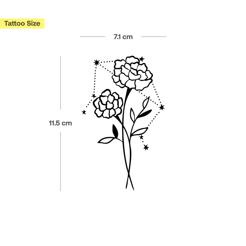 Combinazione fiori di nascita e segno zodiacale