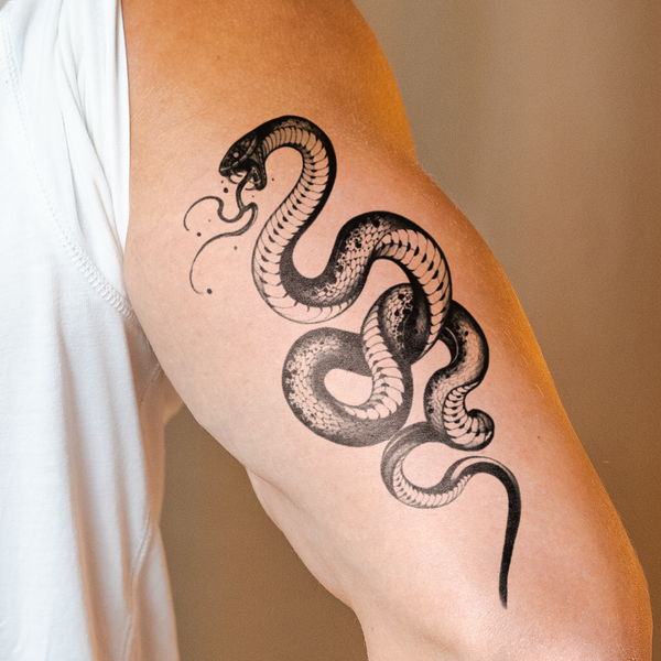 Tatuaggio Vipera ombra