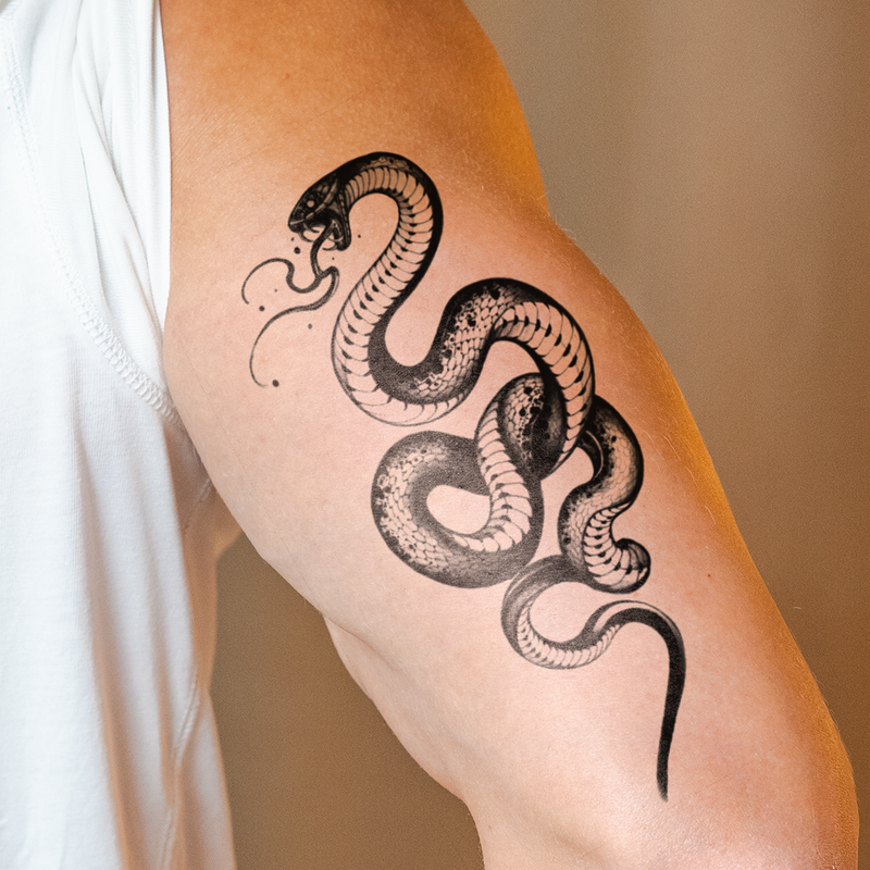 Tatuaggio Vipera ombra