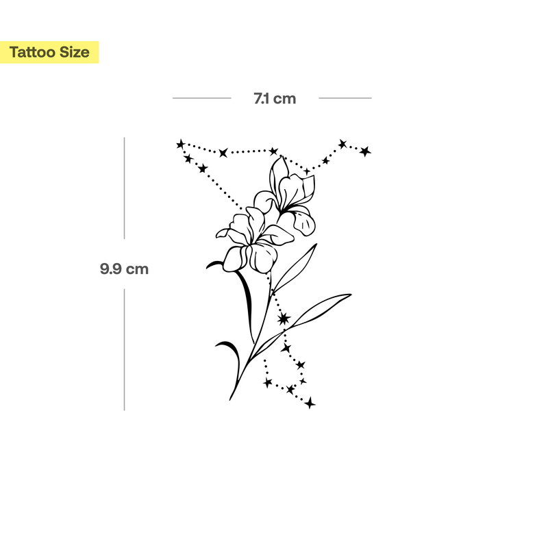 Combinazione fiori di nascita e segno zodiacale
