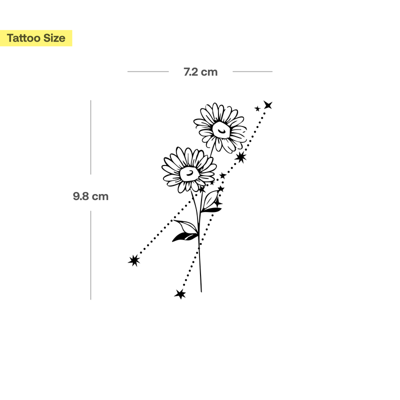 Combinazione fiori di nascita e segno zodiacale