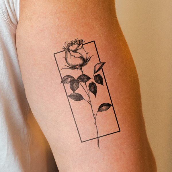 Tatuaggio Rosa con cornice